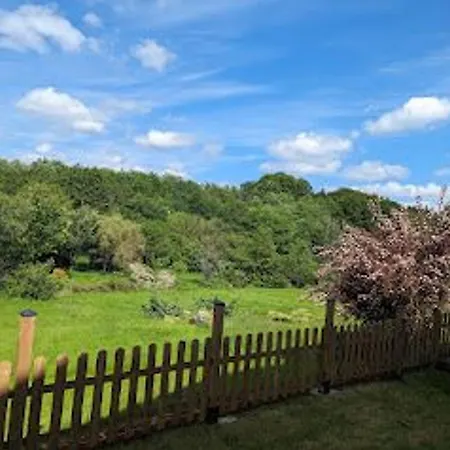 En Foret Avec Terrasse Et Wifi A - Fr-1-589-769 Plombières-les-Bains